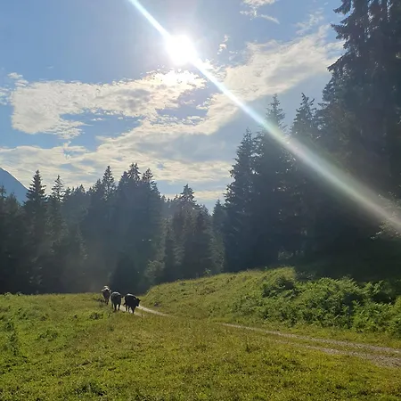 Apartment Lechufer, 80m2, Haushälfte Mit Privatem Eingang, Kaminofen, Terrasse, Garten *