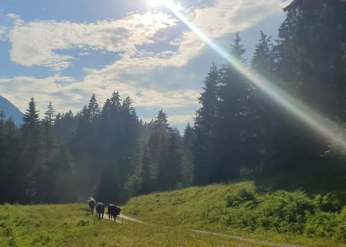 公寓 Lechufer, 80m2, Haushaelfte Mit Privatem Eingang, Kaminofen, Terrasse, Garten *