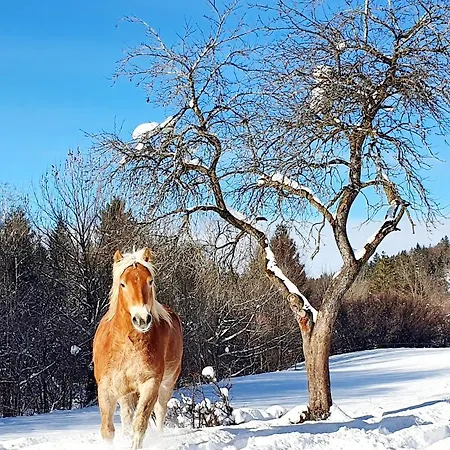 Lechufer, 80m2, Haushaelfte Mit Privatem Eingang, Kaminofen, Terrasse, Garten Appartamento