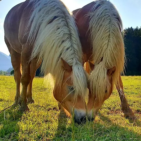 Lechufer, 80m2, Haushaelfte Mit Privatem Eingang, Kaminofen, Terrasse, Garten *
