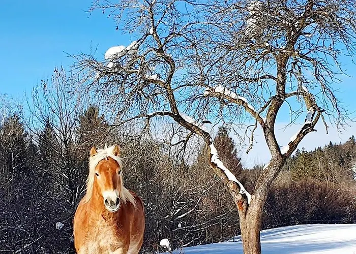 Lechufer, 80m2, Haushaelfte Mit Privatem Eingang, Kaminofen, Terrasse, Garten アパート