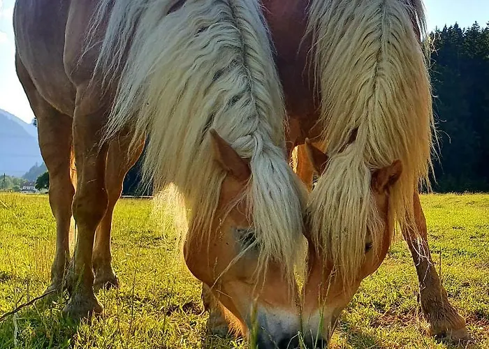 Lechufer, 80m2, Haushaelfte Mit Privatem Eingang, Kaminofen, Terrasse, Garten *