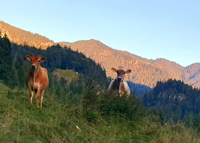 Lechufer, 80m2, Haushaelfte Mit Privatem Eingang, Kaminofen, Terrasse, Garten ピンスヴァング